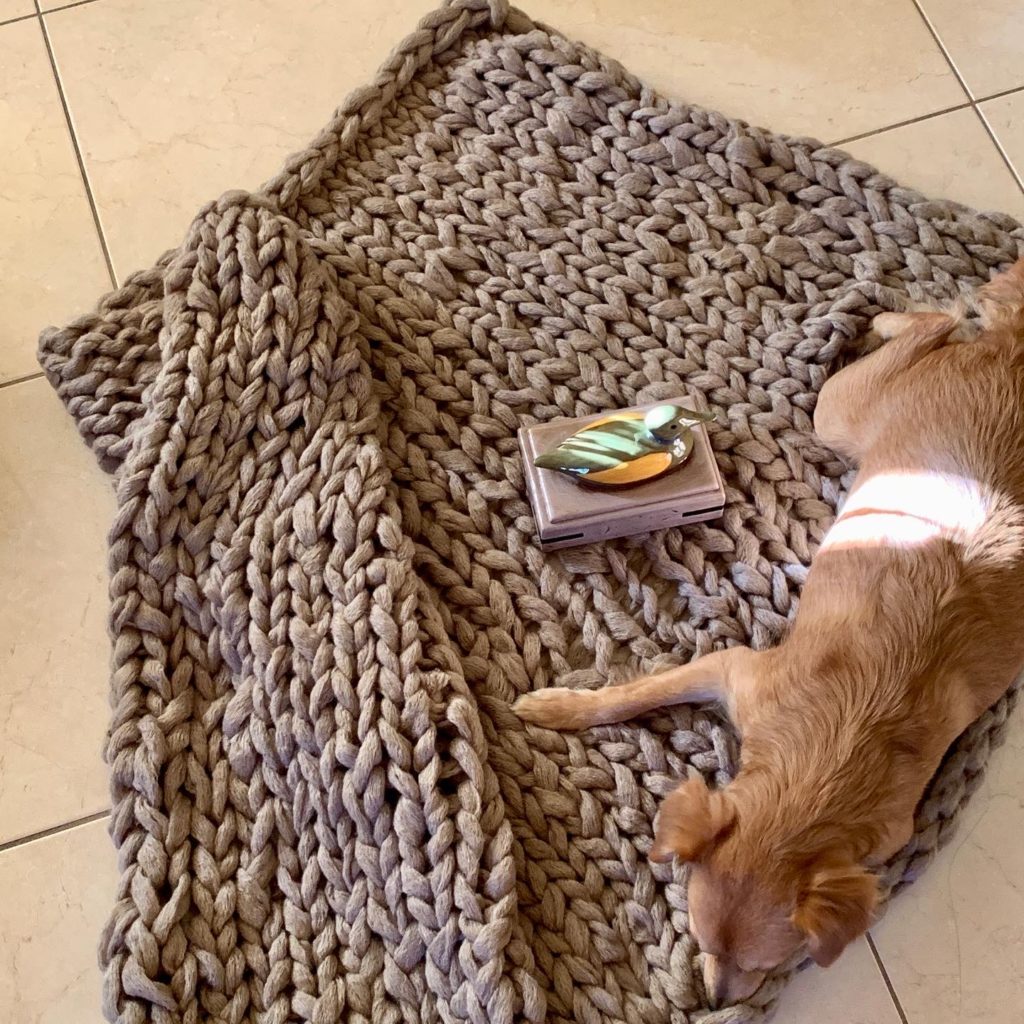 Dog on a blanket with glazed bird