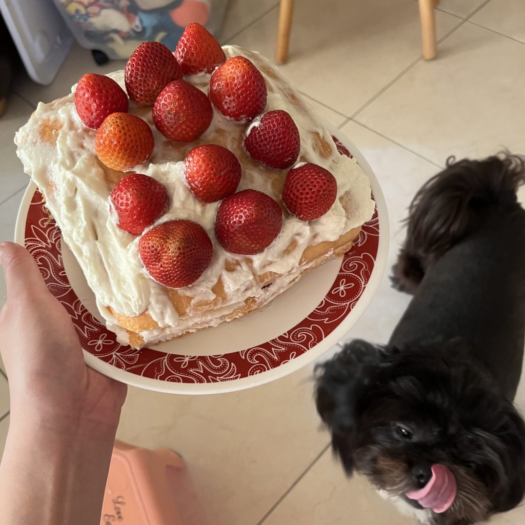 Black dog licking face looking at strawberry cake