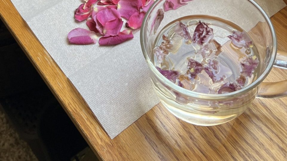 Rose petals laying on a paper towel